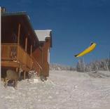 martin wing, flying, out doors, colorado,