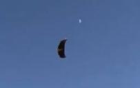 martin wing videos utube