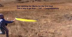 Martin Wing Videos utube