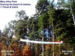 George Ferris of Martin Wing soaring the beach & Tree line + thermals at Mary Alice Park , Lake Lanier Ga